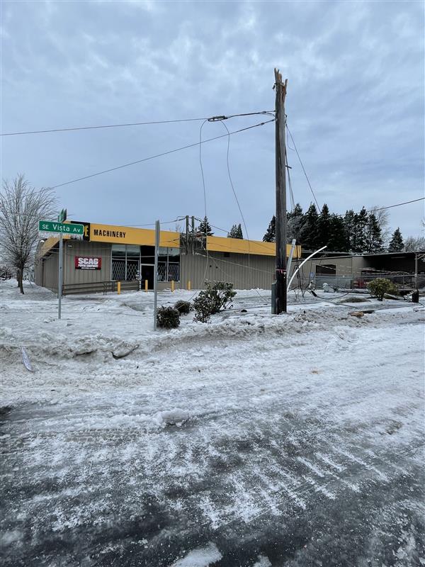 A tree fallen into power and cable lines by a road.