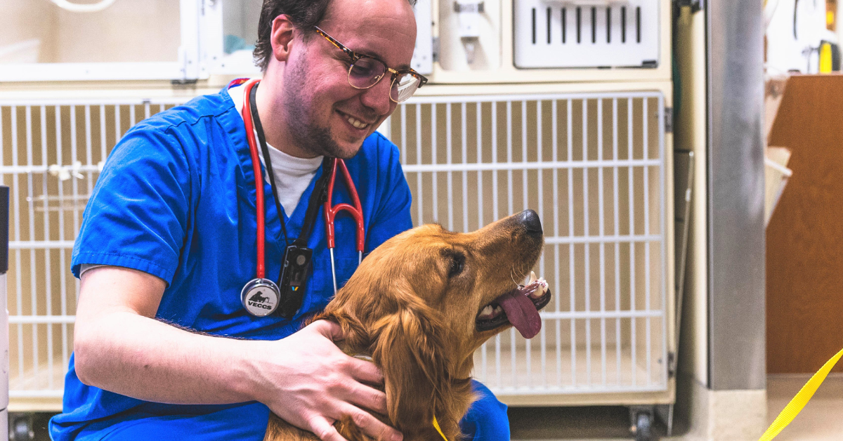 A veterinary technician smiles with a golden dog.